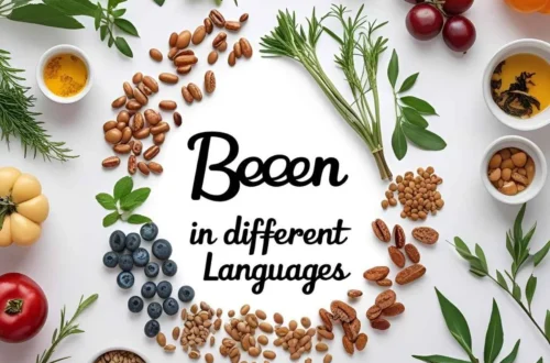 bean in different languages