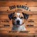 dog names in different languages