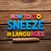 How to Sneeze