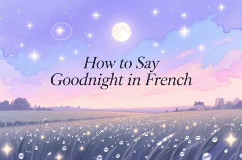 how do you say goodnight in french