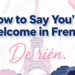 how to say your welcome in french