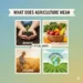 what does agriculture mean
