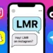 what does lmr mean