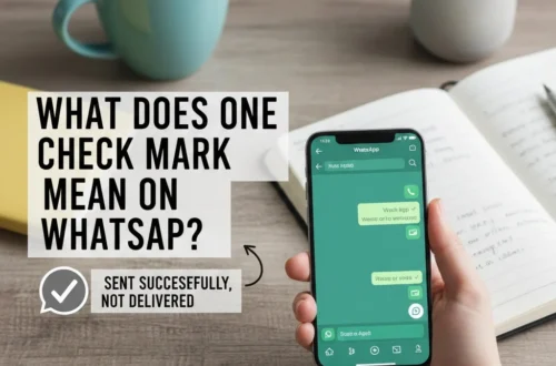what does one check mark mean on whatsapp