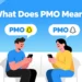 what does pmo mean