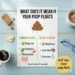 what does it mean if your poop floats