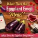 what does the eggplant emoji mean